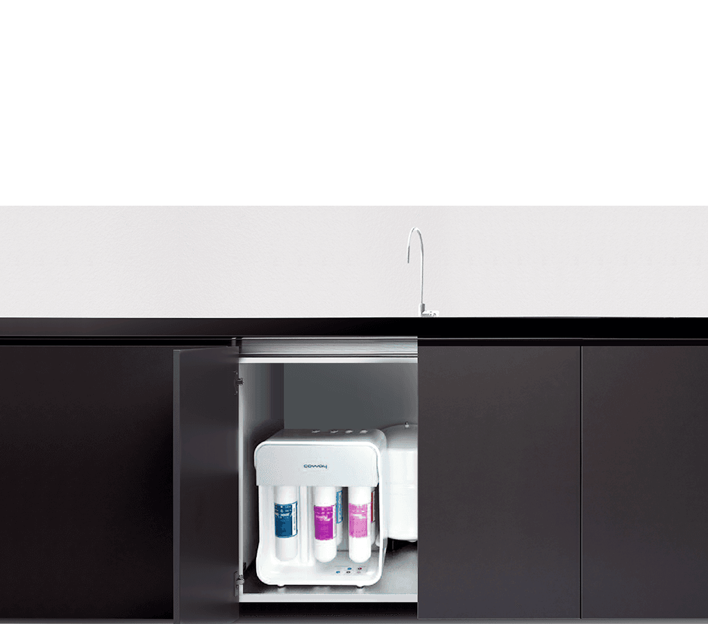 P-09CL water purifier under sink image
